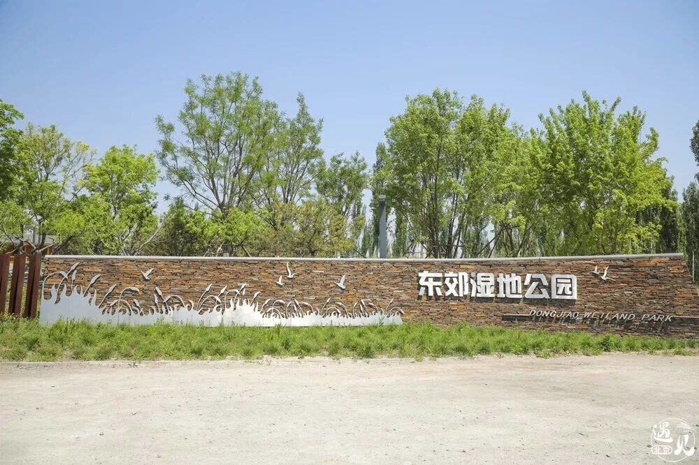 东郊湿地公园