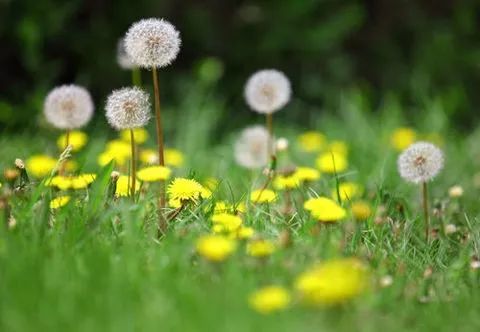 和龙市气象台5月19日天气预报