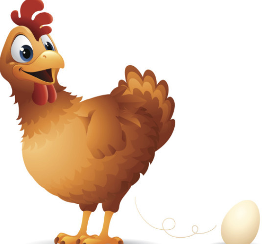 一只鸡的寿命究竟有多长?要是不吃一直养