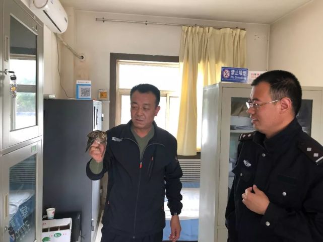 安塞民警成功救治一只国家二级保护动物丘鹬