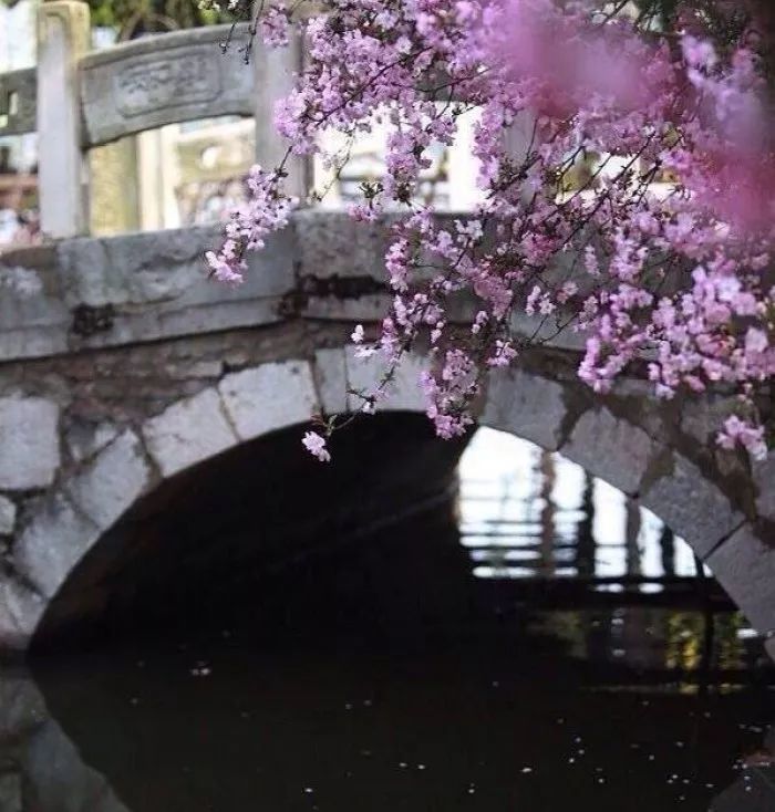 童年|20首绝美诗词，读完一生