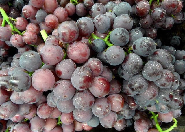 腾讯内容开放平台