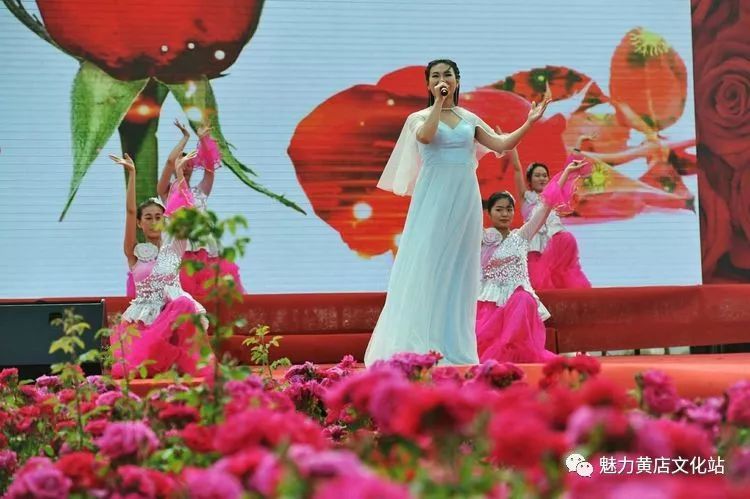 歌伴舞演唱《越来越好》,《羞答答的玫瑰静悄悄的开》