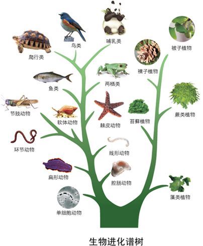 物什么什么主成语_成语故事简笔画(2)