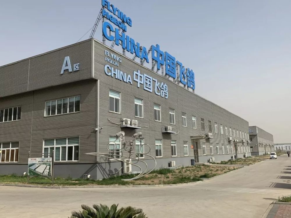 天津飞鸽拟转让100股权重温那些骑车记忆