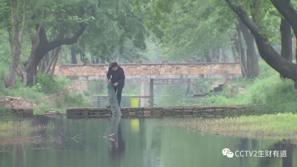 廣水特產(chǎn)有哪些？湖北廣水的十大特產(chǎn),廣水特色美食介紹作為本地人你最喜歡哪個(gè)?(圖片)(圖4)