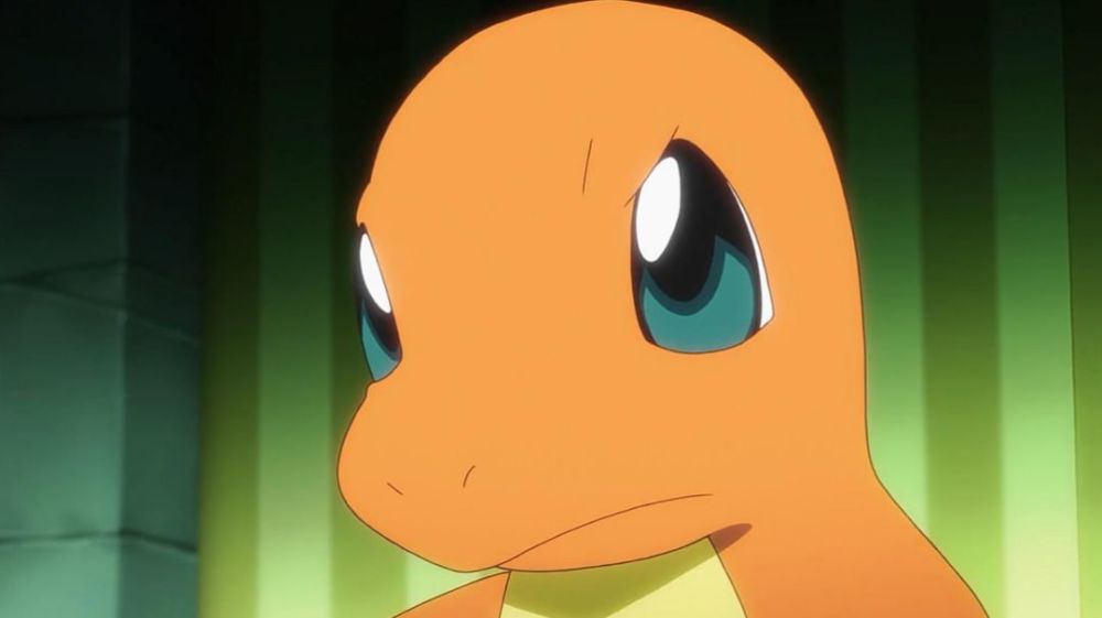 新闻哥 | 那些神奇宝贝在童年里教会我们的事,如今依然宝贵