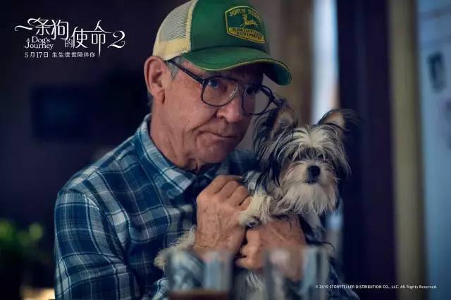 《一条狗的使命2》