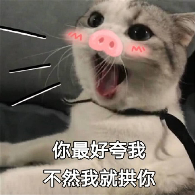 641