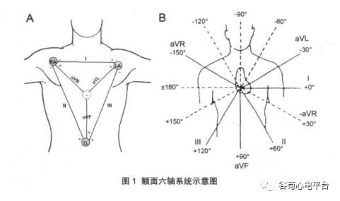 v1～v6 導聯記錄心臟橫斷面絕大多數的 心電活動,加做 v7～v9 和 v3r