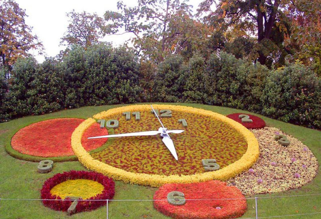 植物也能报时美丽的花坛时钟了解一下