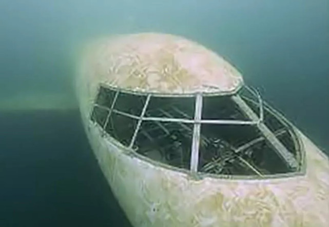 比深海恐惧还糟心 看看你有没有水下人工物恐惧症 网友 窒息了