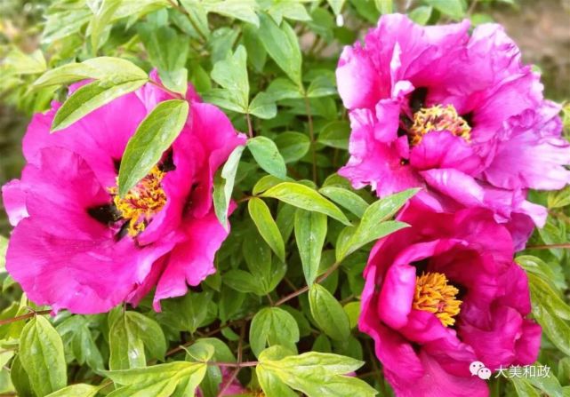 腾讯内容开放平台