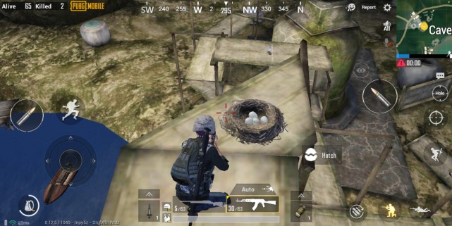 刺激战场国际服pubg Mobile 热情雨林地图隼鸟窝指南