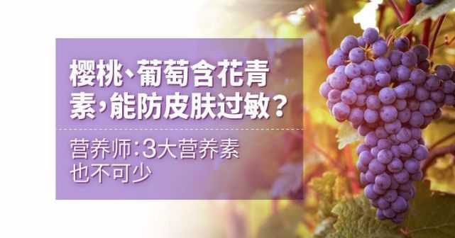 樱桃 葡萄含花青素 能防皮肤过敏 营养专家3大营养素也不可少