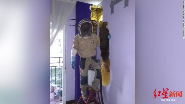 夫妇俩连续三月被吵得睡不着，原来卧室藏着80000只蜜蜂