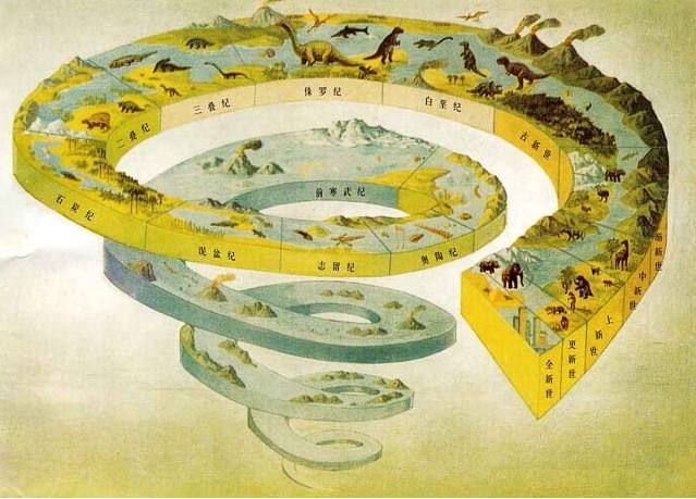 生物进化的体型大与小和什么有关系是时间造成的吗