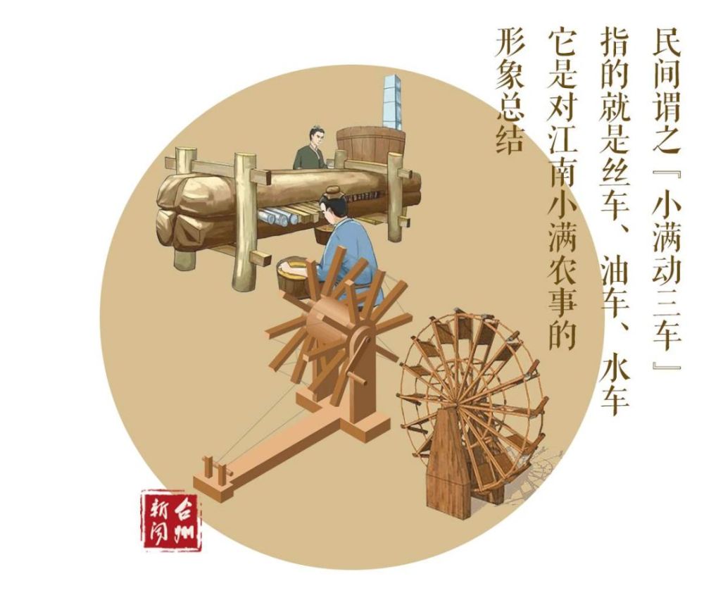 今日小满遇见初夏这个季节海南有哪些水果可以吃到爽