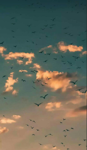 最近火了骗自己壁纸:没法真的忘记你,只能尽