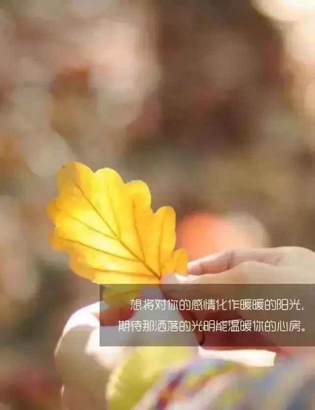 微信很火的心情短句挑一句適合自己的發朋友圈吧