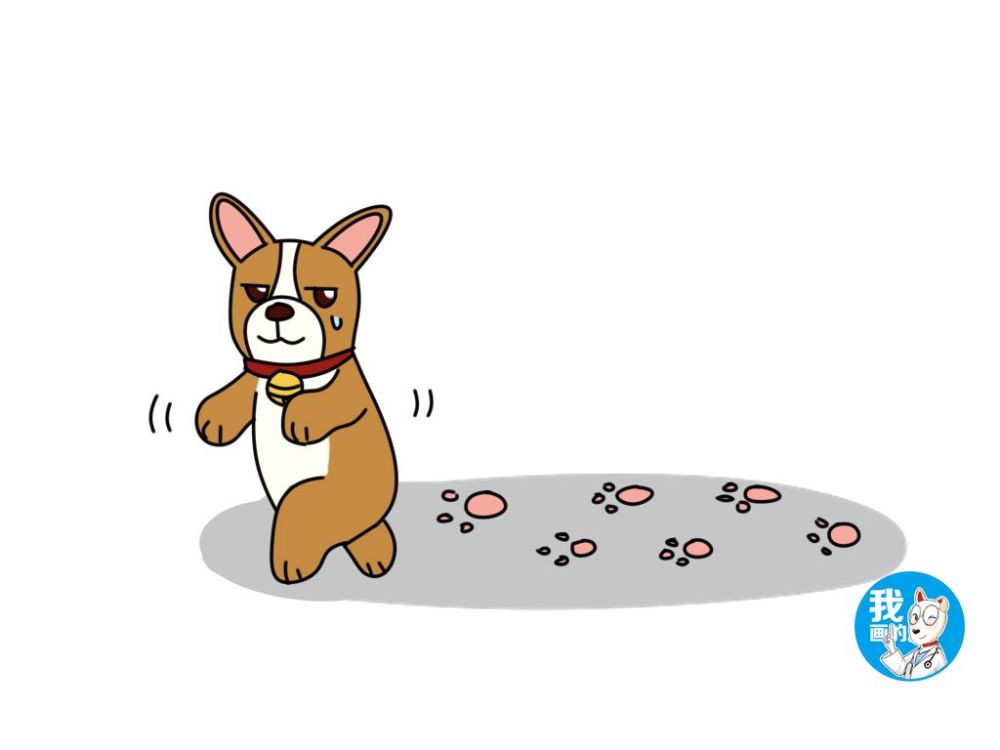 狗的年龄怎么算,1岁等于7岁的算法靠谱吗?听听