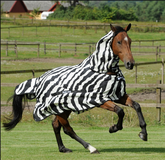 非洲斑马这么多,为何非洲人没将斑马驯化,组成骑兵横扫欧亚呢?