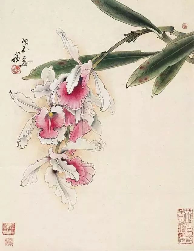 知音|100个姓氏，100句诗，看看你是哪一句？