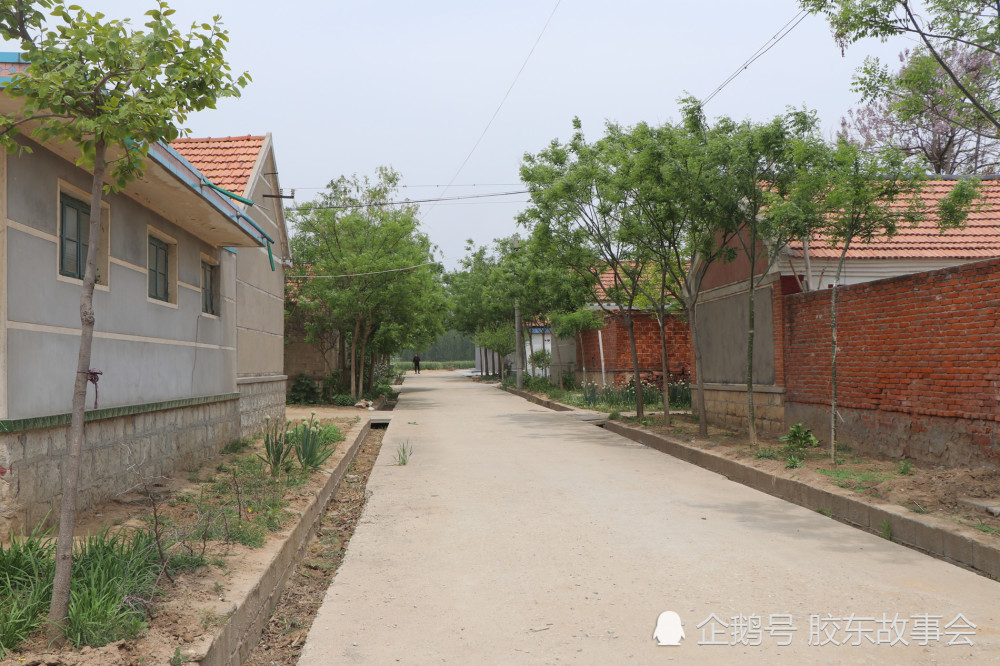 重名:水浒传里有个石碣村,青岛平度也有个石碣村