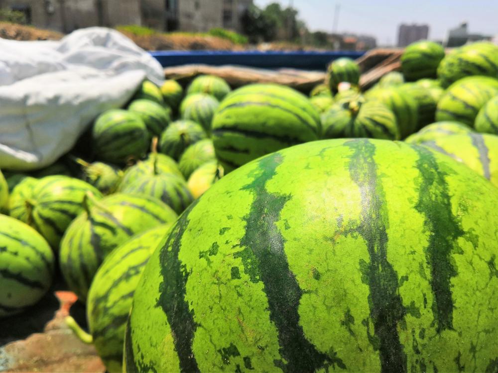 农村小伙子进城卖西瓜,五块钱4斤,日销2千斤,秘诀在哪里?