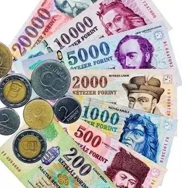 想用欧元还是福林?看看匈牙利人怎么想~