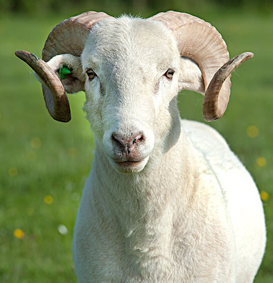 测试你的晚年生活会怎样度过!