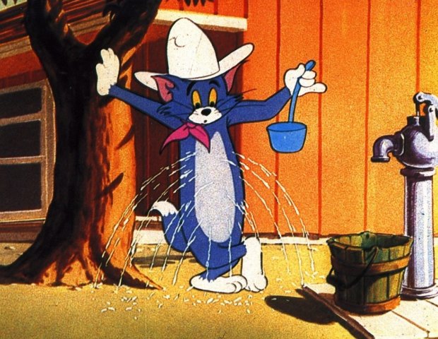 猫和老鼠真人版,看到照片里的汤姆和杰瑞,网友:别再毁童年了