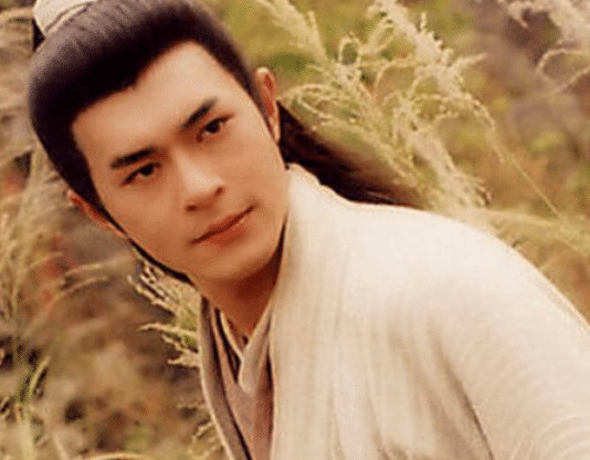 天龙八部结尾,段誉这个儿子是金庸多出的人物