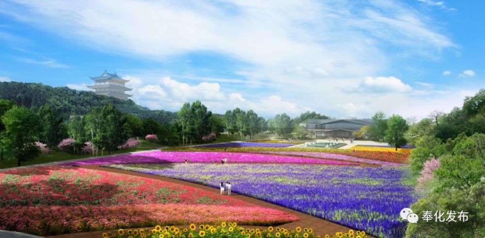 藝術館,四季花海,長汀水街……仁湖公園二期即將動工!規劃面積540畝