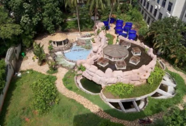 海龟|“我下辈子再也不做海龟了！”