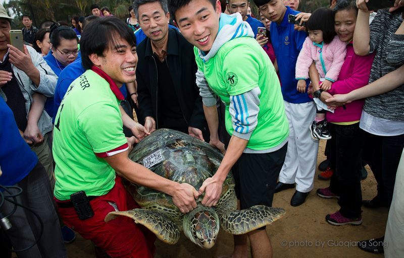 海龟|“我下辈子再也不做海龟了！”
