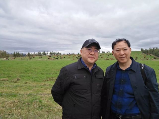 王丁棉(右)与中牧纽瑞滋总裁刘宁