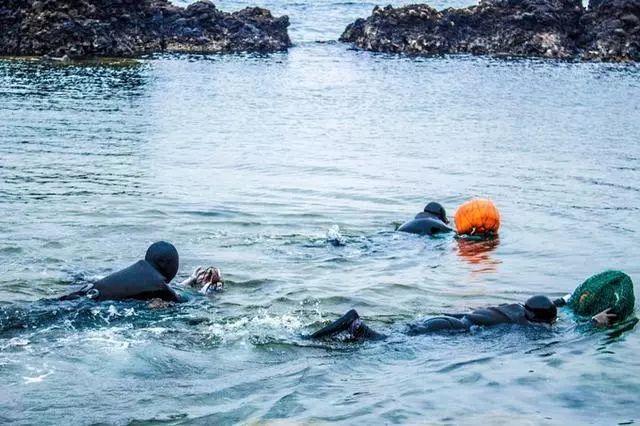 韩国济州岛旅游见闻那些海女最年轻已年近60岁 热备资讯