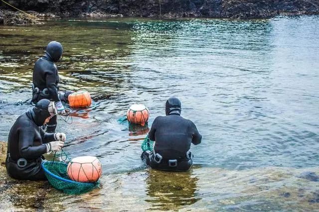 韩国济州岛旅游见闻那些海女最年轻已年近60岁 热备资讯