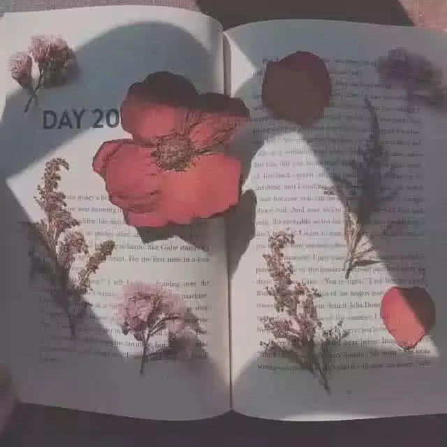 七月 少女心 背景图 我想和你一起看日出到日落天气