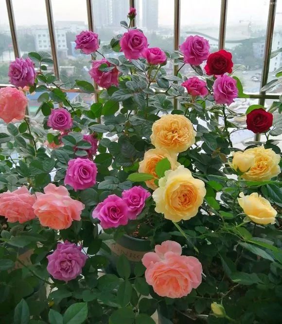 腾讯内容开放平台