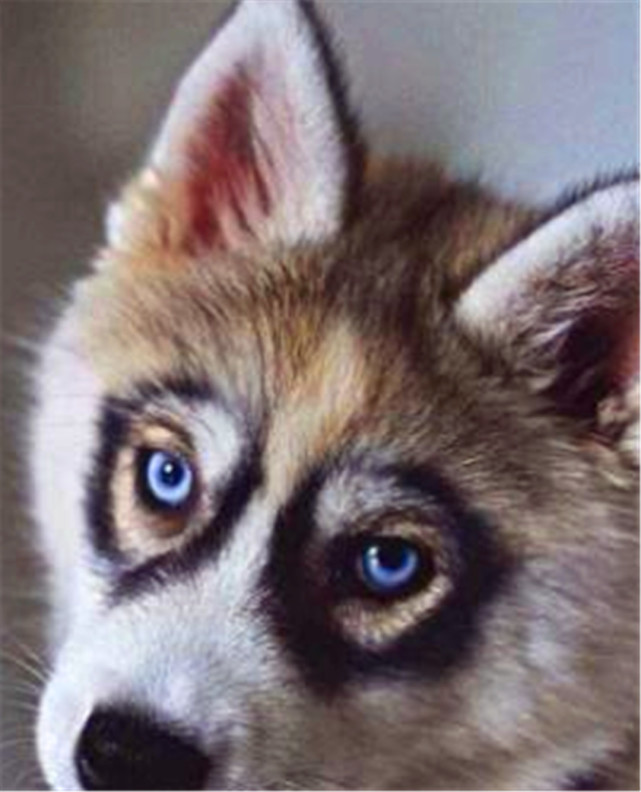 黑眼圈是什么原因