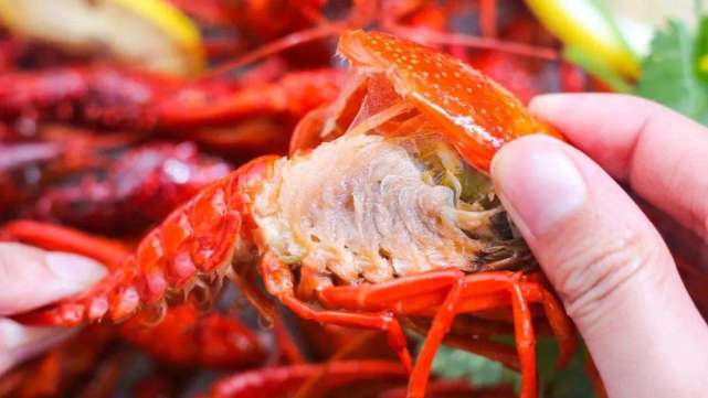 因为小龙虾属于高蛋白食物,部分人会对小龙虾过敏,这类人最好不要食用