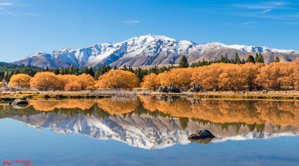 小镇,特卡波镇,新西兰,卡波,新西兰_旅游,教堂,雪山
