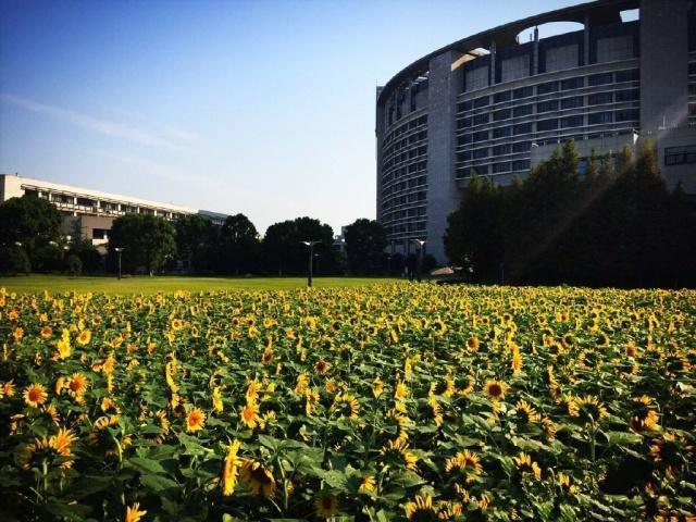 財經大學,中央財經大學,上海財經大學,江西財經大學,東北財經大學