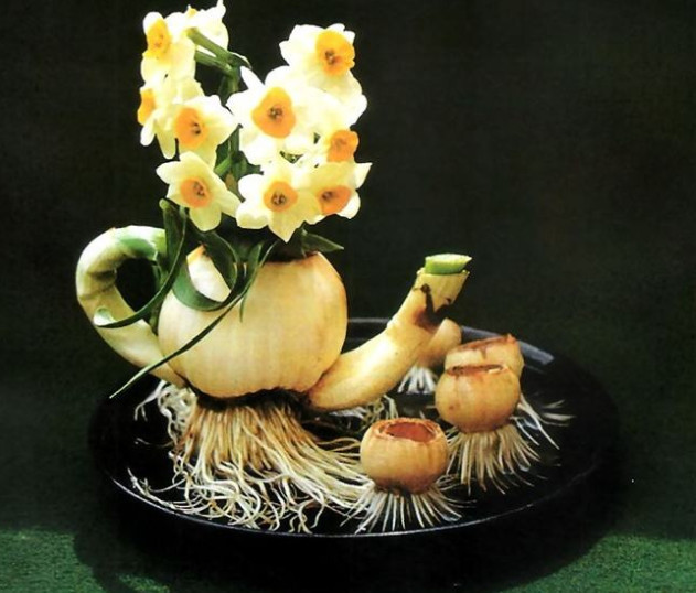 只知道傻傻的养水仙花 学会去 雕刻 雕完长得快 价值翻一倍