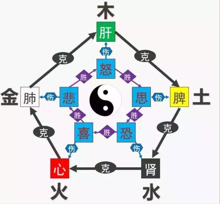 倪海厦:"七情"与夫妻吵架不生病之间的奥秘