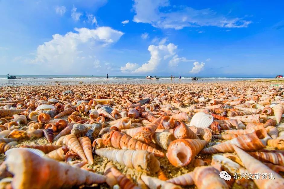 头条 中国大陆海岸线最南端藏着一个 夏天版的北海道 海鲜吃到饱