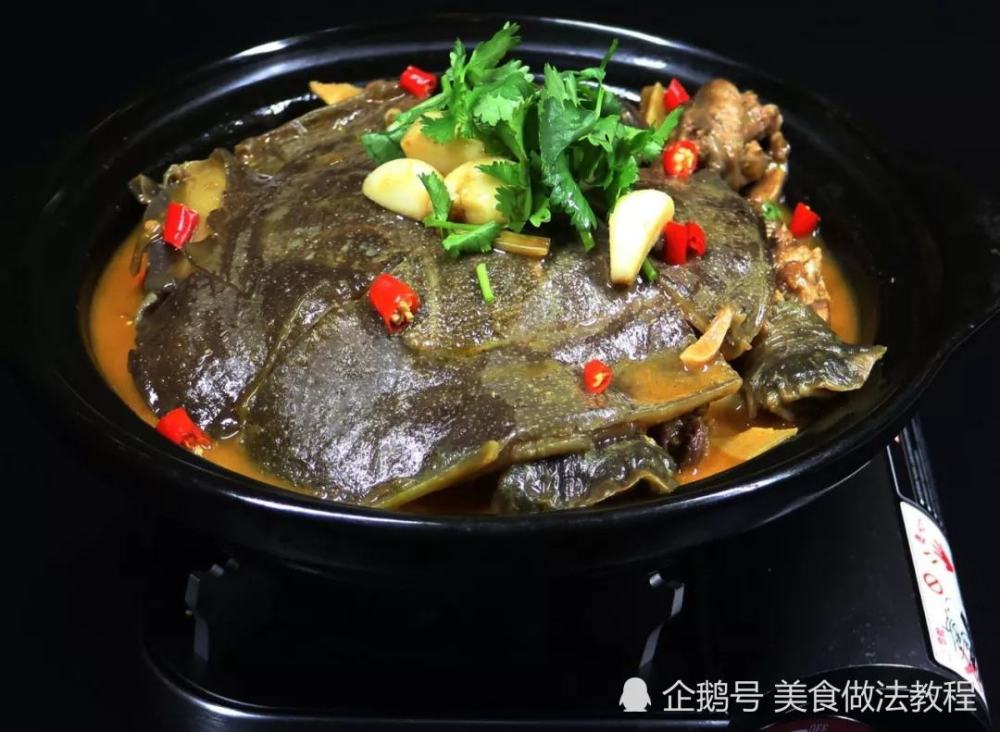 黄焖甲鱼的详细做法和配方,肾虚的人必备大补餐
