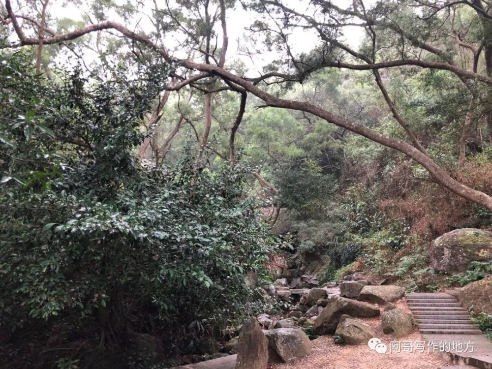 庄山遇雨